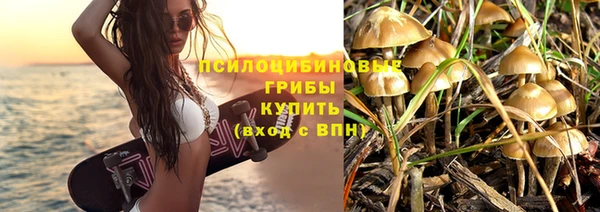 стафф Абаза