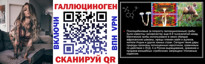 где можно купить наркотик  Новотитаровская  Псилоцибиновые грибы Psilocybe 